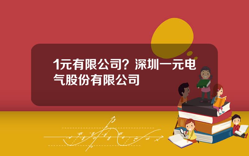 1元有限公司？深圳一元电气股份有限公司