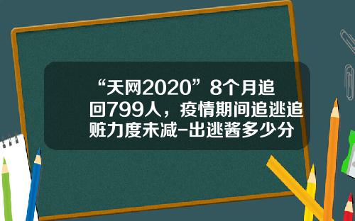 “天网2020”8个月追回799人，疫情期间追逃追赃力度未减-出逃酱多少分