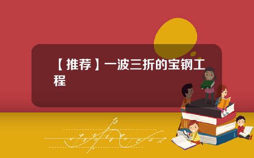 【推荐】一波三折的宝钢工程