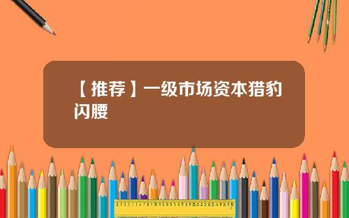 【推荐】一级市场资本猎豹闪腰