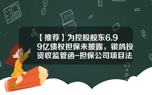 【推荐】为控股股东6.99亿债权担保未披露，银鸽投资收监管函-担保公司项目法律意见书