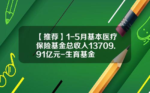 【推荐】1-5月基本医疗保险基金总收入13709.91亿元-生育基金