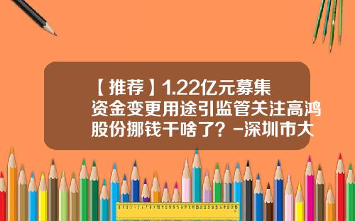 【推荐】1.22亿元募集资金变更用途引监管关注高鸿股份挪钱干啥了？-深圳市大唐高鸿互动科技有限公司