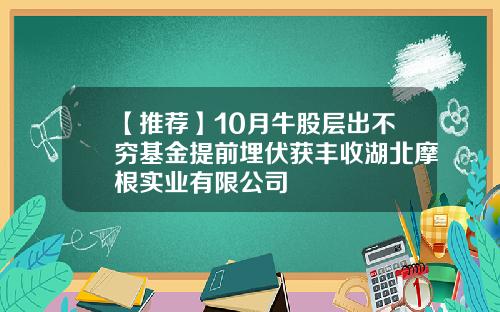 【推荐】10月牛股层出不穷基金提前埋伏获丰收湖北摩根实业有限公司