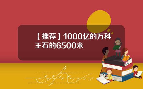 【推荐】1000亿的万科王石的6500米