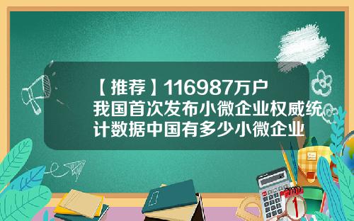 【推荐】116987万户我国首次发布小微企业权威统计数据中国有多少小微企业