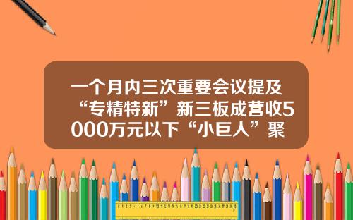 一个月内三次重要会议提及“专精特新”新三板成营收5000万元以下“小巨人”聚集地-新三板员工分到多少一般