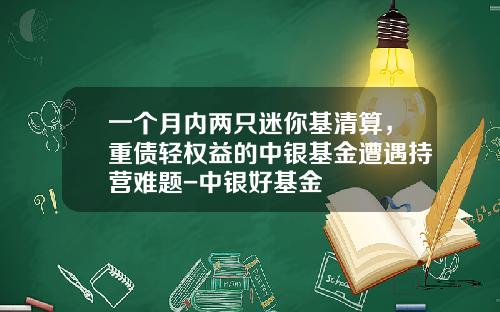 一个月内两只迷你基清算，重债轻权益的中银基金遭遇持营难题-中银好基金