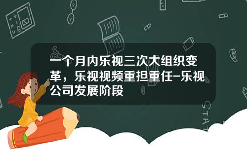 一个月内乐视三次大组织变革，乐视视频重担重任-乐视公司发展阶段