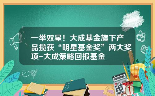 一举双星！大成基金旗下产品揽获“明星基金奖”两大奖项-大成策略回报基金