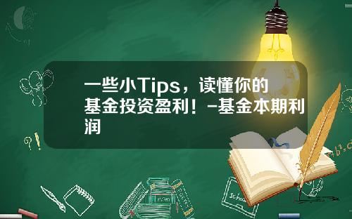 一些小Tips，读懂你的基金投资盈利！-基金本期利润