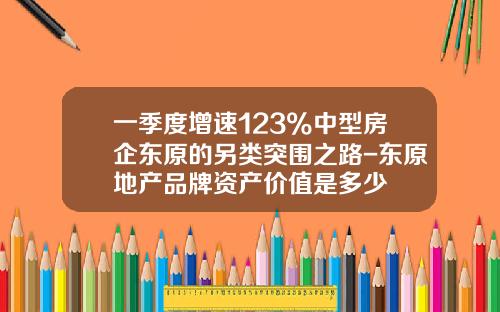 一季度增速123%中型房企东原的另类突围之路-东原地产品牌资产价值是多少
