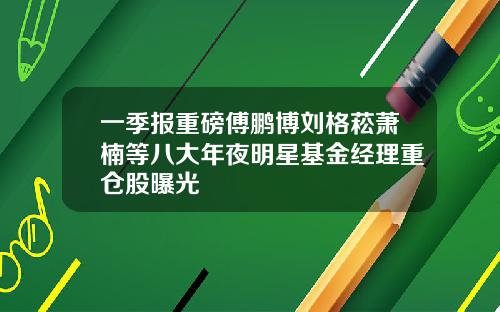 一季报重磅傅鹏博刘格菘萧楠等八大年夜明星基金经理重仓股曝光
