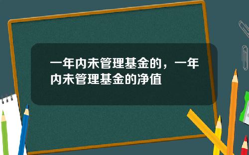 一年内未管理基金的，一年内未管理基金的净值
