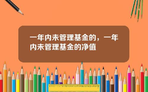 一年内未管理基金的，一年内未管理基金的净值