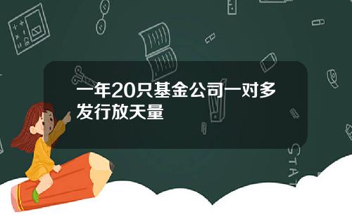 一年20只基金公司一对多发行放天量