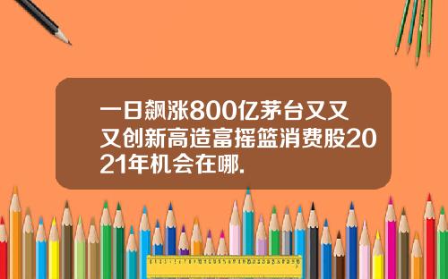 一日飙涨800亿茅台又又又创新高造富摇篮消费股2021年机会在哪.