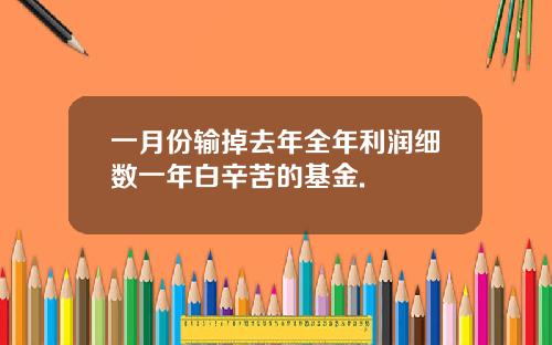 一月份输掉去年全年利润细数一年白辛苦的基金.