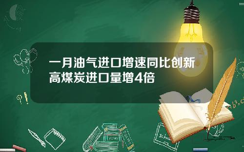一月油气进口增速同比创新高煤炭进口量增4倍