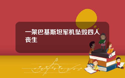 一架巴基斯坦军机坠毁四人丧生