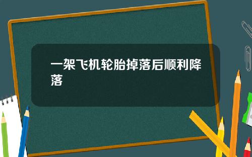 一架飞机轮胎掉落后顺利降落