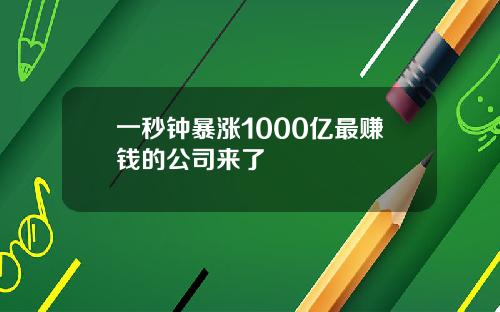 一秒钟暴涨1000亿最赚钱的公司来了