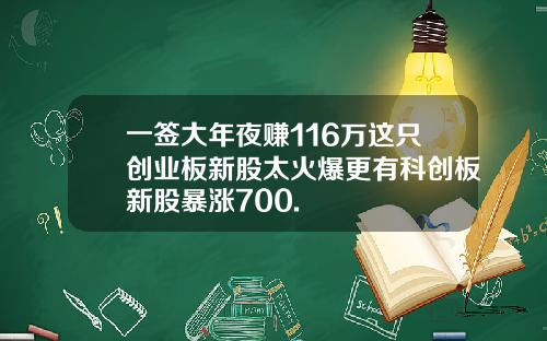 一签大年夜赚116万这只创业板新股太火爆更有科创板新股暴涨700.