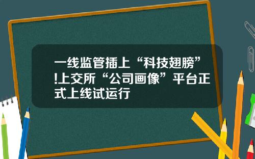 一线监管插上“科技翅膀”!上交所“公司画像”平台正式上线试运行 