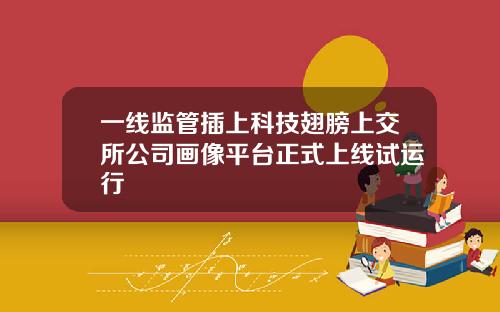一线监管插上科技翅膀上交所公司画像平台正式上线试运行