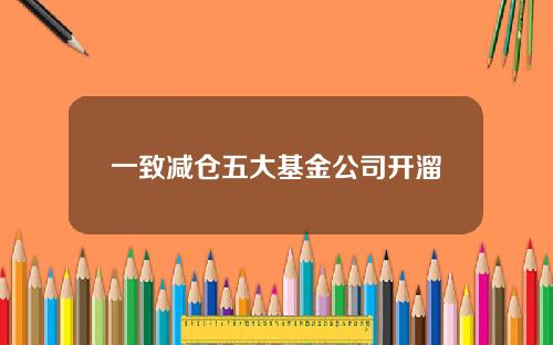 一致减仓五大基金公司开溜