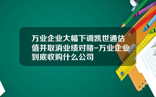 万业企业大幅下调凯世通估值并取消业绩对赌-万业企业到底收购什么公司