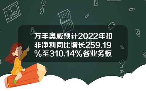 万丰奥威预计2022年扣非净利同比增长259.19%至310.14%各业务板块经营质量整体提升-万丰奥威公司