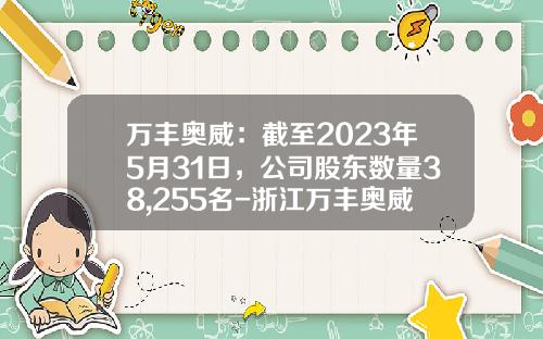 万丰奥威：截至2023年5月31日，公司股东数量38,255名-浙江万丰奥威股份有限公司