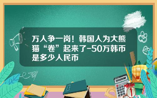 万人争一岗！韩国人为大熊猫“卷”起来了-50万韩币是多少人民币