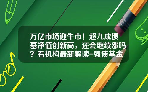 万亿市场迎牛市！超九成债基净值创新高，还会继续涨吗？看机构最新解读-强债基金