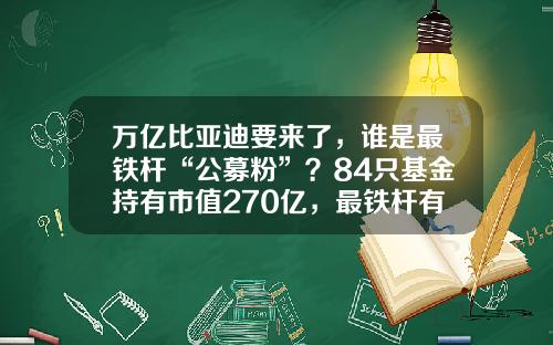 万亿比亚迪要来了，谁是最铁杆“公募粉”？84只基金持有市值270亿，最铁杆有5家-基金市值