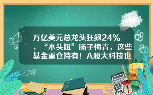 万亿美元总龙头狂飙24%，“木头姐”肠子悔青，这些基金重仓持有！A股大科技也被引爆，大V：我不该背叛AI-导师的基金