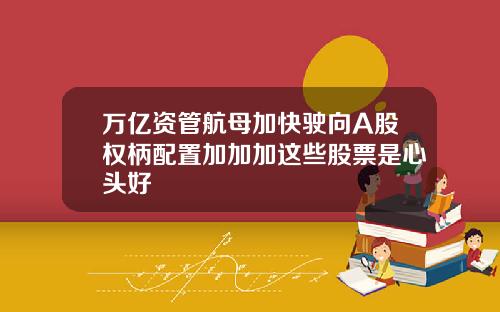 万亿资管航母加快驶向A股权柄配置加加加这些股票是心头好