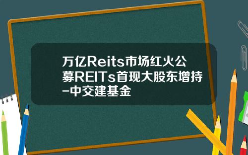 万亿Reits市场红火公募REITs首现大股东增持-中交建基金