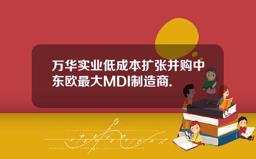 万华实业低成本扩张并购中东欧最大MDI制造商.