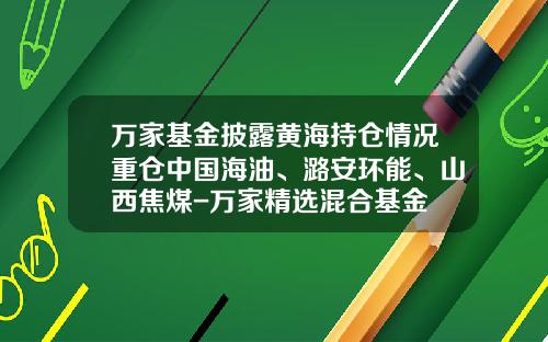 万家基金披露黄海持仓情况重仓中国海油、潞安环能、山西焦煤-万家精选混合基金