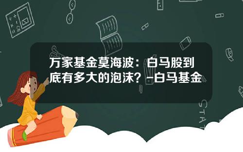 万家基金莫海波：白马股到底有多大的泡沫？-白马基金