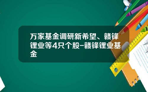 万家基金调研新希望、赣锋锂业等4只个股-赣锋锂业基金
