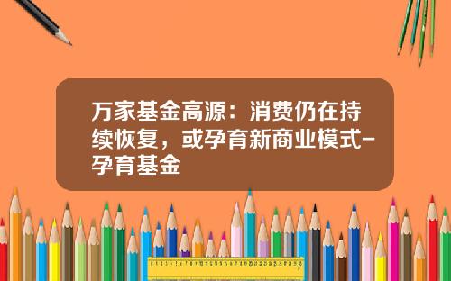 万家基金高源：消费仍在持续恢复，或孕育新商业模式-孕育基金