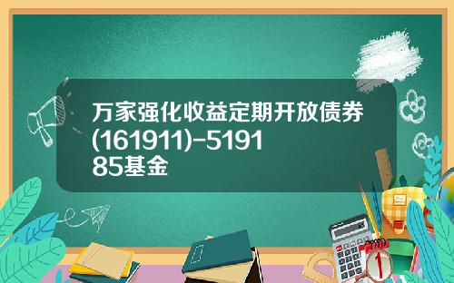 万家强化收益定期开放债券(161911)-519185基金