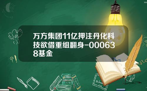 万方集团11亿押注丹化科技欲借重组翻身-000638基金