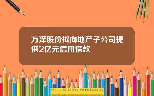 万泽股份拟向地产子公司提供2亿元信用借款