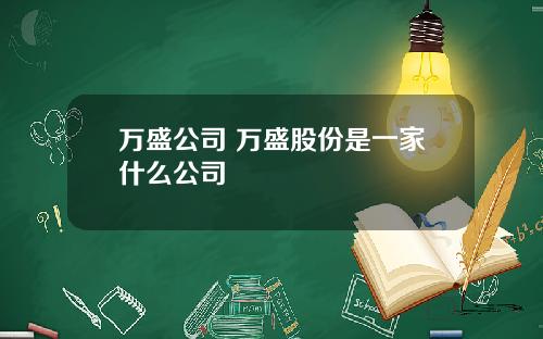 万盛公司 万盛股份是一家什么公司
