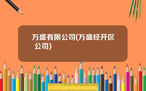 万盛有限公司(万盛经开区 公司)