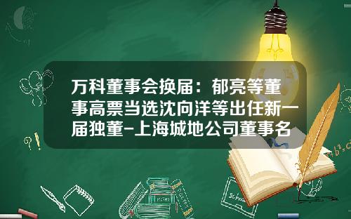 万科董事会换届：郁亮等董事高票当选沈向洋等出任新一届独董-上海城地公司董事名单